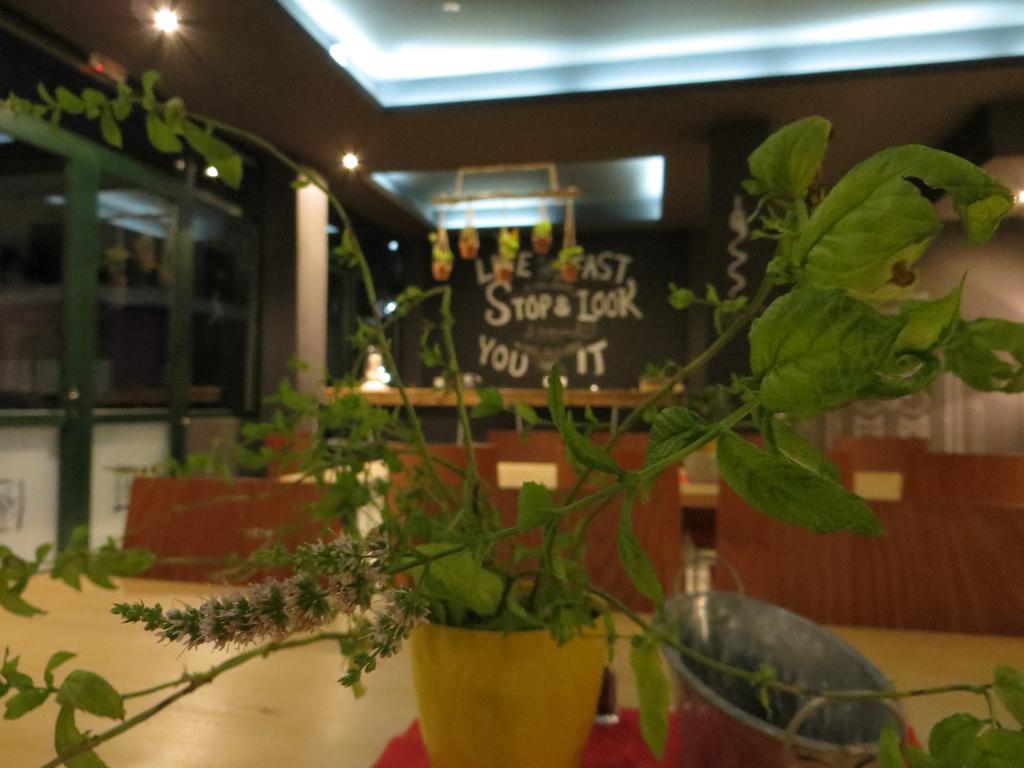 Leonidaion Guesthouse 올림피아 외부 사진 The interior of the restaurant